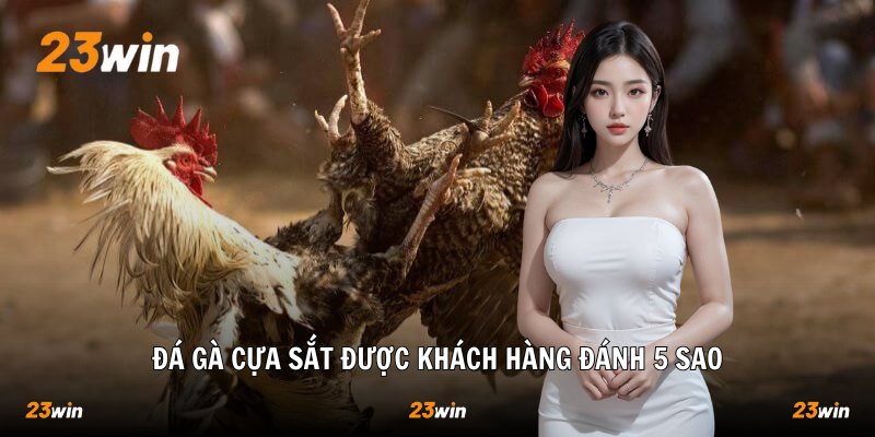Đá gà cựa sắt được khách hàng đánh 5 sao